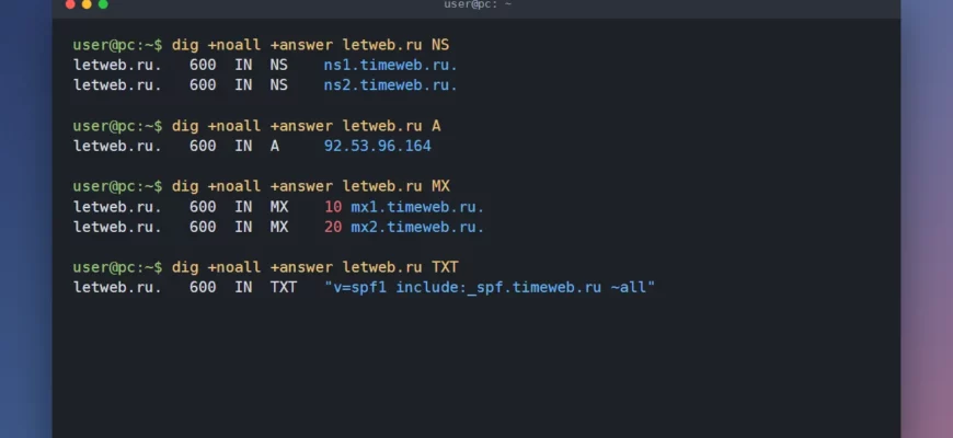 Проверка DNS-записей домена letweb.ru командой dig: NS, A, MX и TXT