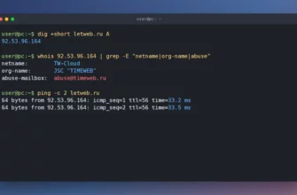 Как узнать IP-адрес сайта и хостинг: dig, whois по IP и ping для letweb.ru