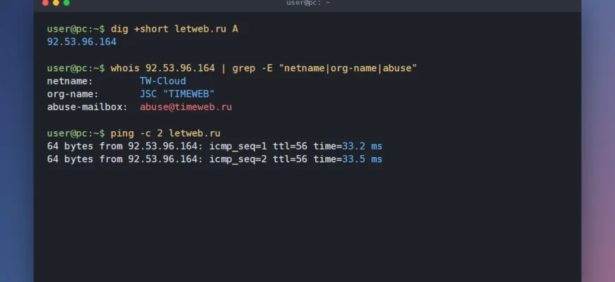 Как узнать IP-адрес сайта и хостинг: dig, whois по IP и ping для letweb.ru