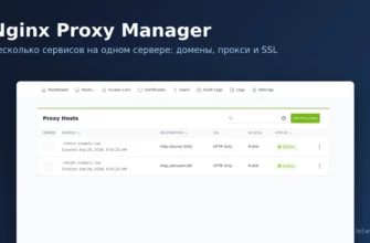 Список Proxy Hosts в Nginx Proxy Manager: два сервиса на одном сервере