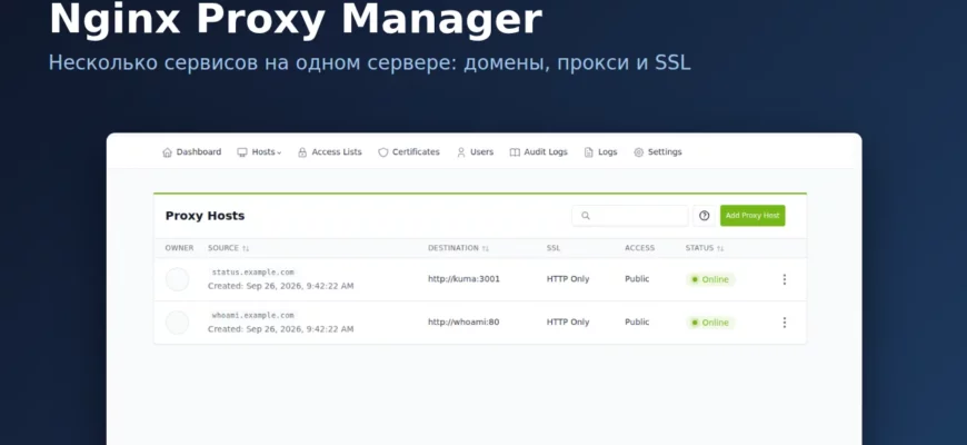 Список Proxy Hosts в Nginx Proxy Manager: два сервиса на одном сервере