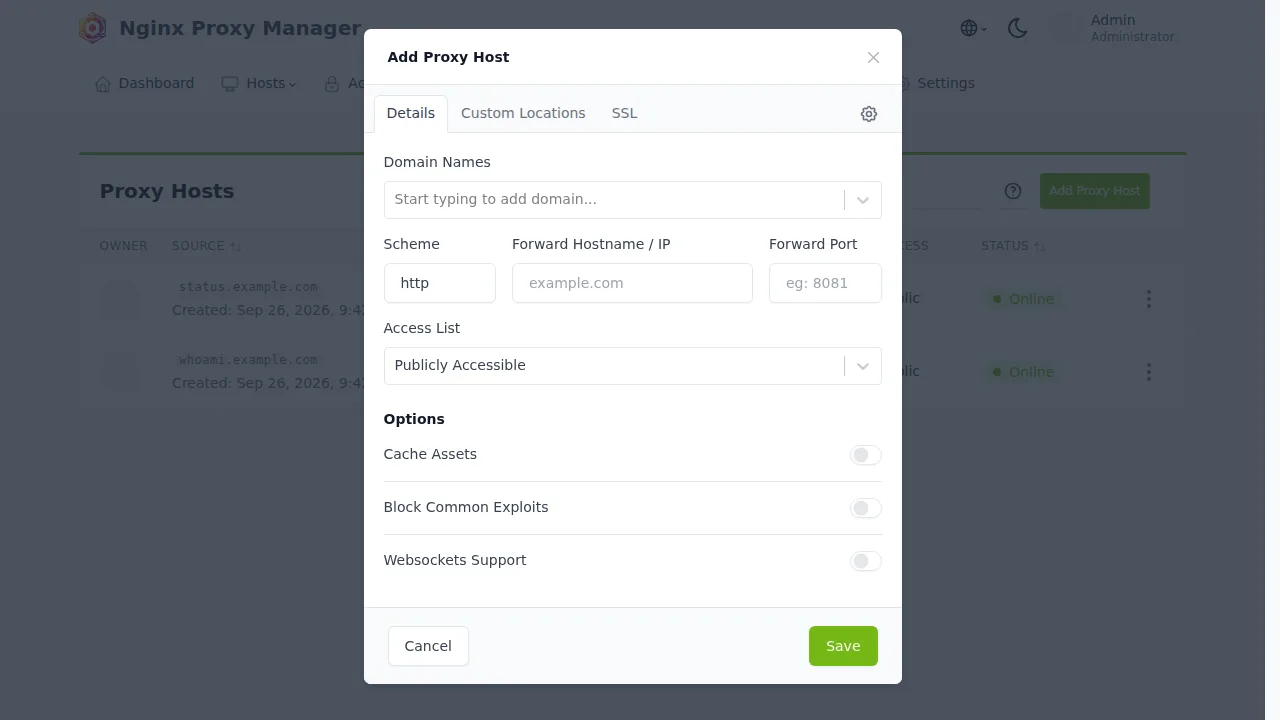 Окно Add Proxy Host в Nginx Proxy Manager