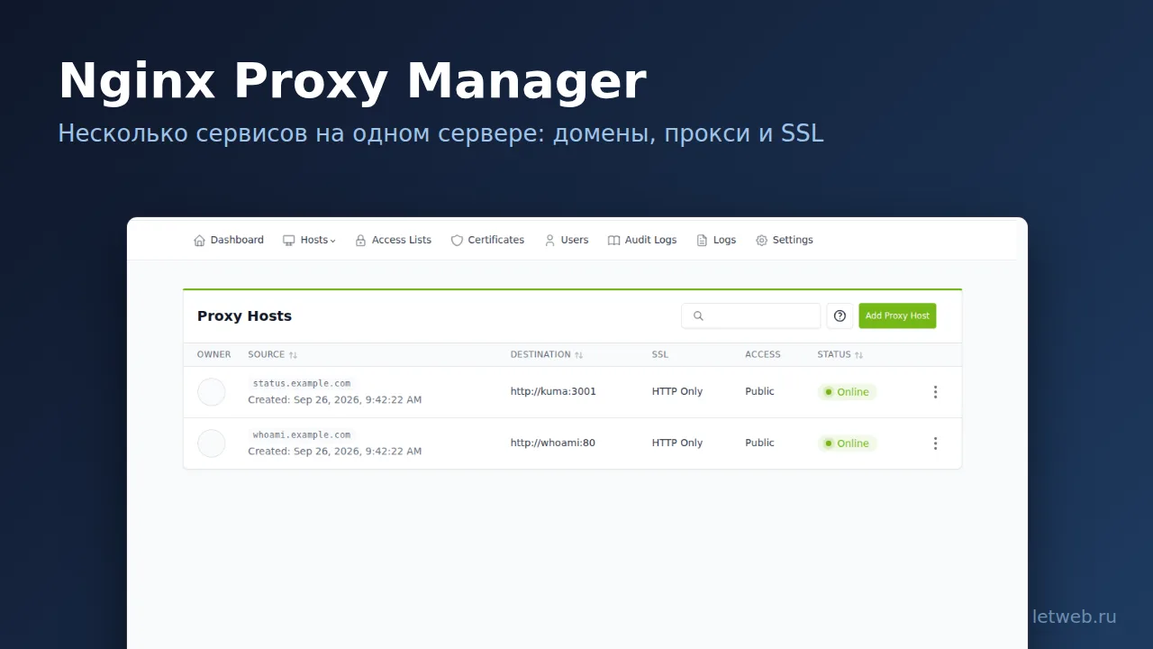 Список Proxy Hosts в Nginx Proxy Manager: два сервиса на одном сервере