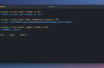 Проверка SPF, DKIM и DMARC записей домена letweb.ru командой dig