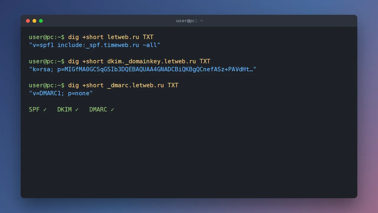 Проверка SPF, DKIM и DMARC записей домена letweb.ru командой dig