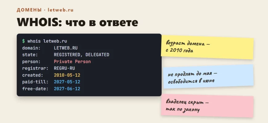 WHOIS: как проверить домен и IP — пример ответа для домена .ru